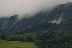 tytko_eu_63071s